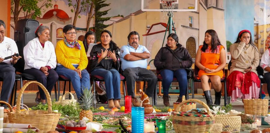 Llama la SAI a revalorar y promover la medicina tradicional