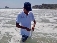 Playas de Oaxaca se encuentran aptas para los visitantes: SSO