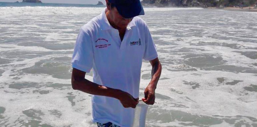 Playas de Oaxaca se encuentran aptas para los visitantes: SSO