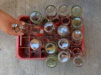 Sin descanso en la lucha contra el dengue: SSO