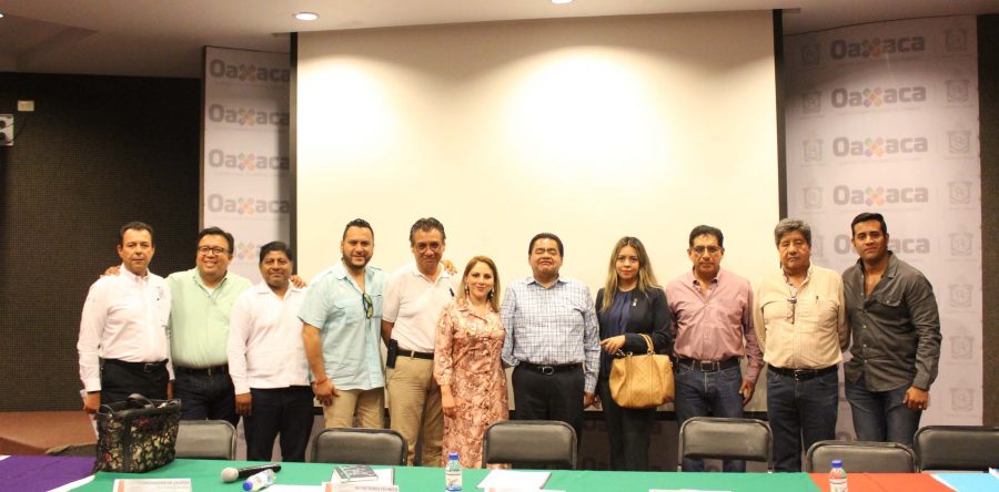 Aprueban Normas Técnicas de Emergencia de diseño por sismo, por viento, estructural y cimentaciones