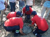 Realiza CEPCO y Red de Humedales taller para mitigar riesgos del Cocodrilo