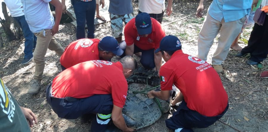 Realiza CEPCO y Red de Humedales taller para mitigar riesgos del Cocodrilo