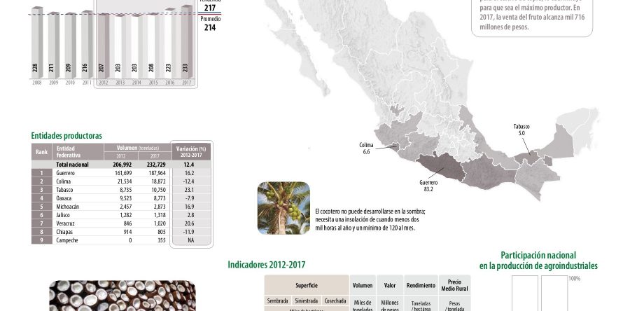 Oaxaca, cuarto lugar a nivel nacional en producción de copra: Sedapa