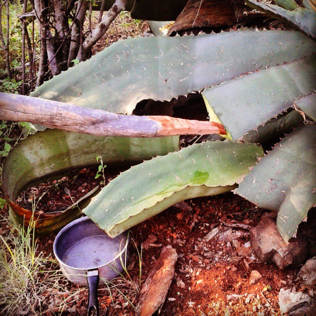 El cáncer sí tiene cura: Horacio Corro Espinosa