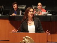 PT en el Senado busca llevar el principio de austeridad republicana a la Constitución