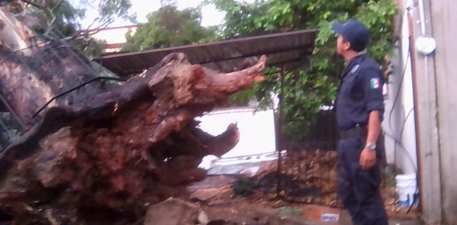 Atiende Protección Civil Municipal afectaciones por lluvias en la capital