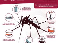 Evita riesgos de contagio de dengue, zika y chikungunya en temporada de lluvias