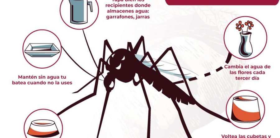 Evita riesgos de contagio de dengue, zika y chikungunya en temporada de lluvias