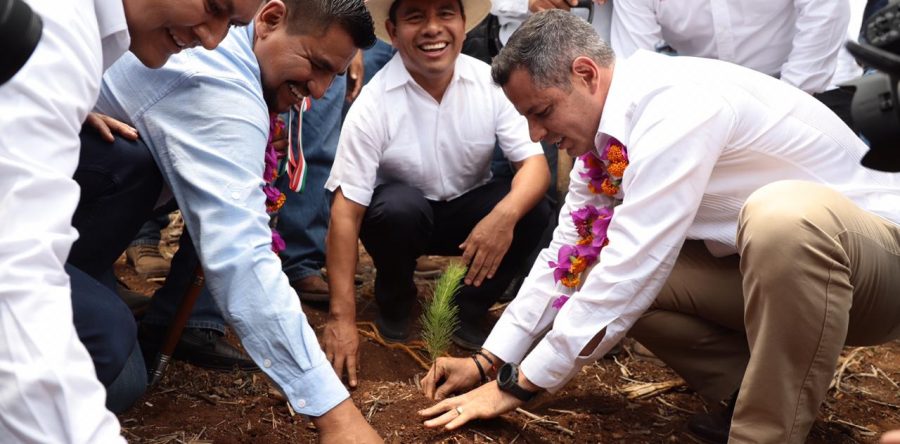 Gobierno de Oaxaca entrega apoyos para fortalecer acciones productivas en el campo solteco
