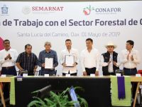Acuerdan Gobierno de Oaxaca y Conafor trabajo coordinado en materia forestal