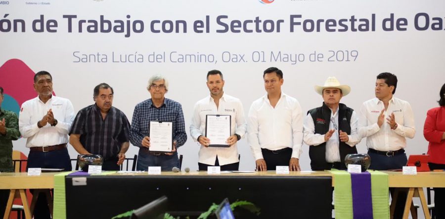 Acuerdan Gobierno de Oaxaca y Conafor trabajo coordinado en materia forestal