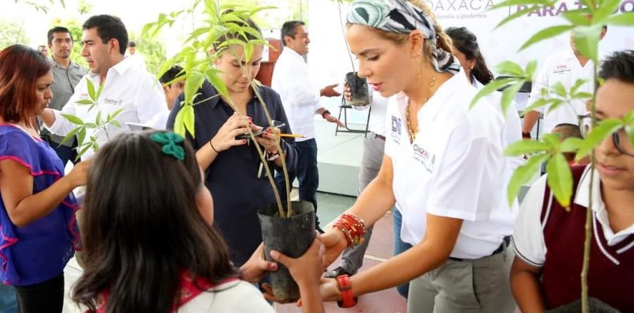 8 días 8 agencias, caravana DIF continúa atendiendo a familias capitalinas