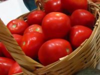 Fortalecerá Oaxaca mercado interno y nacional para hacer frente a arancel impuesto por EU a exportación de jitomate