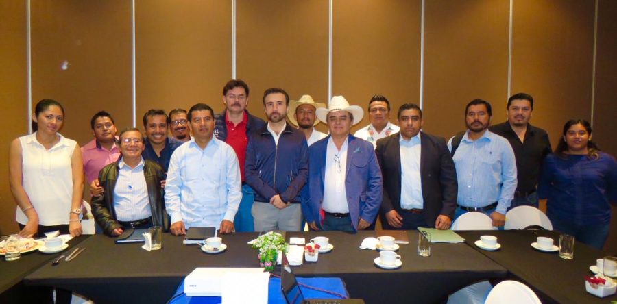 Se entregan las primeras 160 mil plántulas de café robusta en la Cañada e Istmo