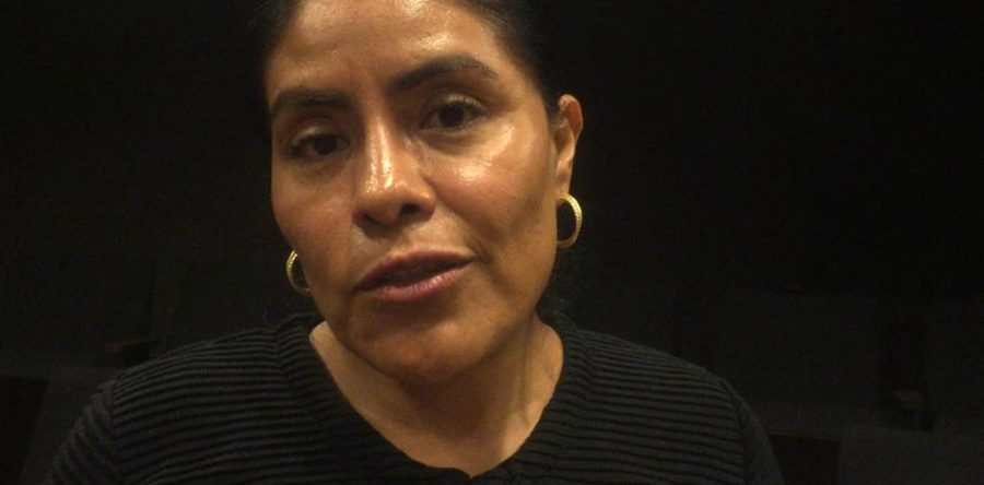 Lanza Sepia programas para la prevalencia de al menos cinco lenguas indígenas