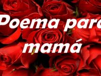 ¡Madrecitas!: Horacio Corro Espinosa