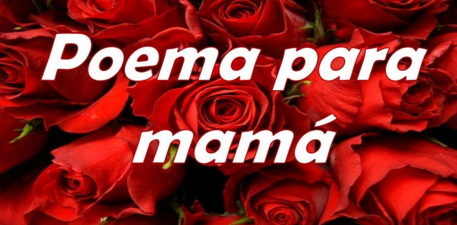 ¡Madrecitas!: Horacio Corro Espinosa