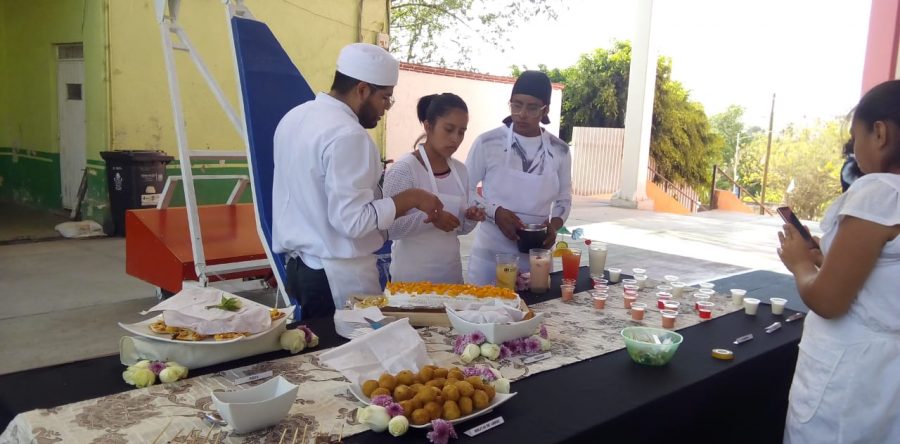 Misiones Culturales Rurales, instituciones educativas en apoyo a la alfabetización: IEEPO