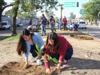 Medio ambiente, prioridad en agenda del Gobierno capitalino