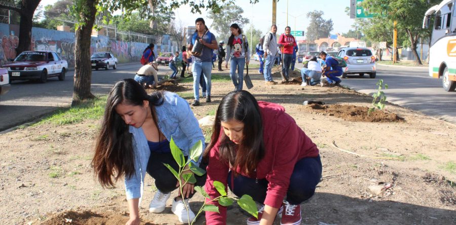 Medio ambiente, prioridad en agenda del Gobierno capitalino