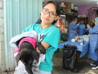 Llegan las jornadas de esterilización animal a más colonias de la ciudad de Oaxaca