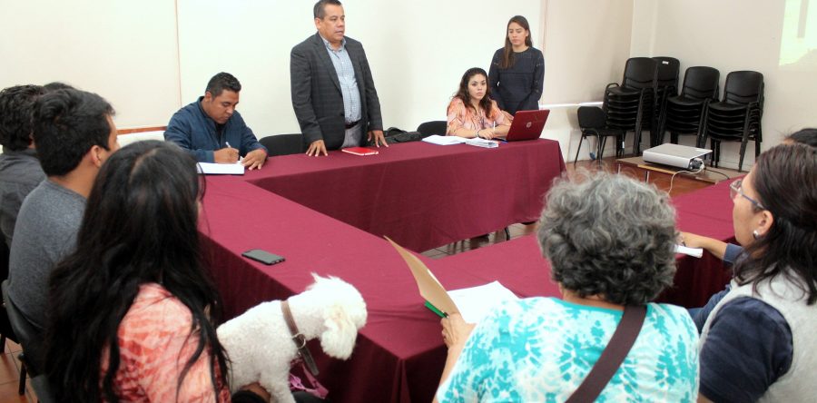 Suma Gobierno citadino perspectivas ciudadanas contra el maltrato animal