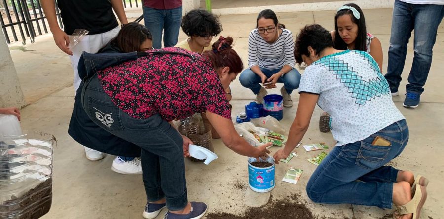 Comienza en Oaxaca de Juárez el programa “De mi patio a la mesa”