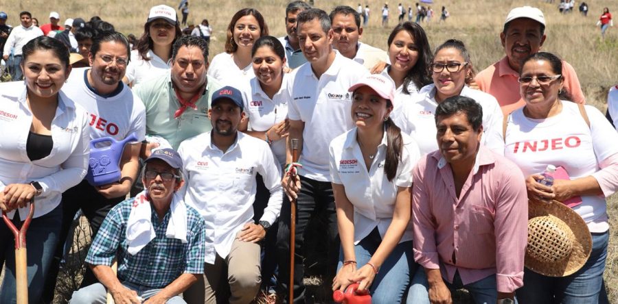 Lanza Murat reto para reforestación