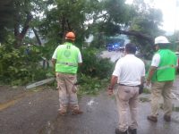 Mantiene CEPCO apoyo a municipios afectados por las lluvias