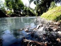 Rescate de los ríos Salado y Atoyac, obligado reto a Samy: Alfredo Martínez de Aguilar