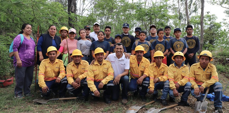 Contribuye Semaedeso en reforestación del Cerro del Fortín
