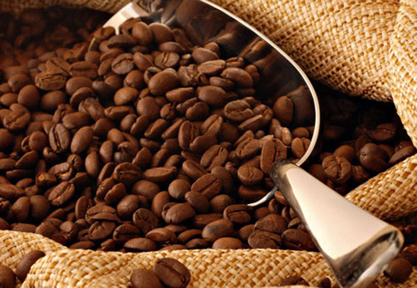 Obtiene Oaxaca Declaración General de Protección de la Denominación  de Origen del café “Pluma”