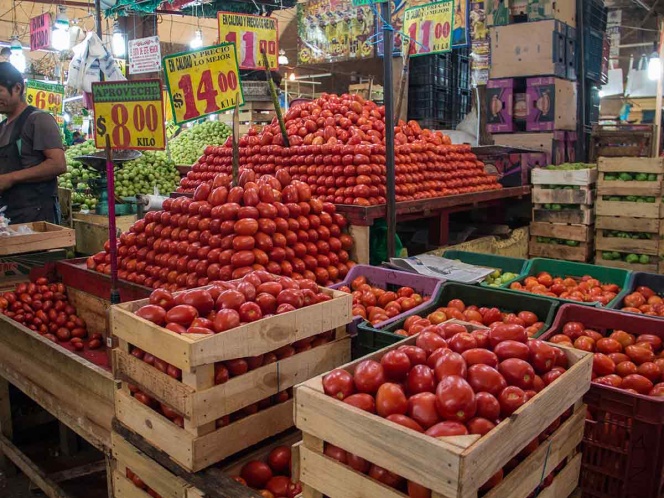 Aranceles al jitomate y al acero son ajenos al T-MEC: López Obrador