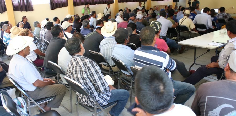 Observa Defensoría proceso de consulta en el Valle de Ocotlán- Zimatlán
