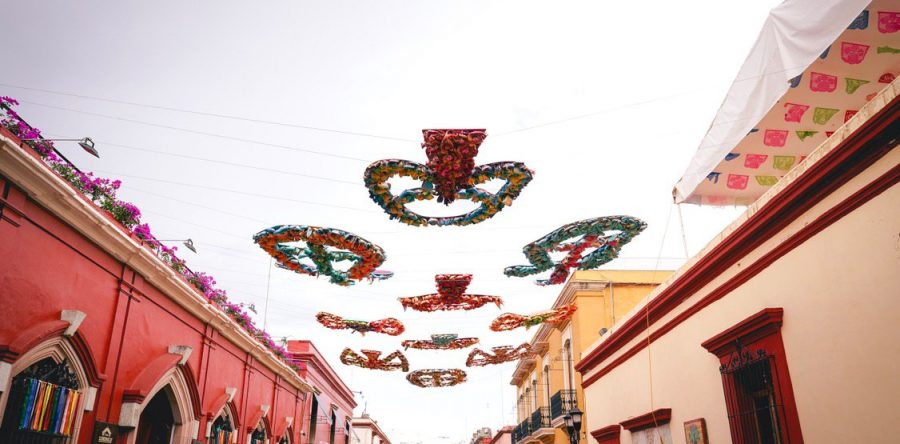 Ayuntamiento invita a levantar la mirada y disfrutar de “Aves sin paraíso” en el Andador Turístico