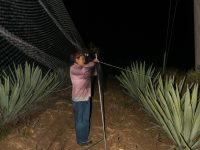 Biólogos oaxaqueños buscan solución a crisis alimentaria: Alfredo Martínez de Aguilar