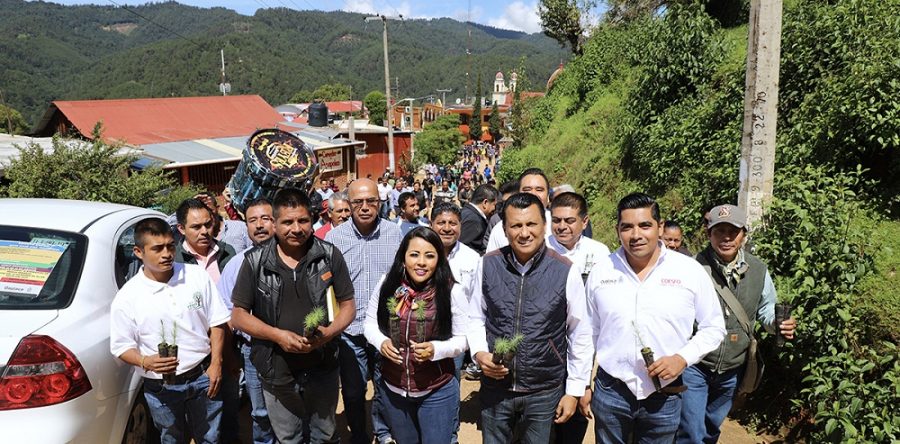 Asiste la Semaedeso a la conmemoración del Día del Árbol en San Mateo Río Hondo, Sierra Sur