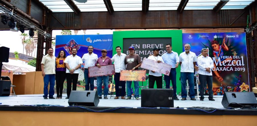 En la Feria del Mezcal, premian a ganadores de “La piña de maguey más pesada”