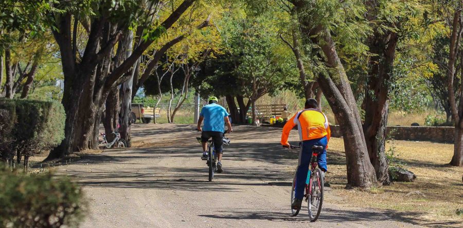 El Tequio, alternativa para el deporte y la convivencia familiar