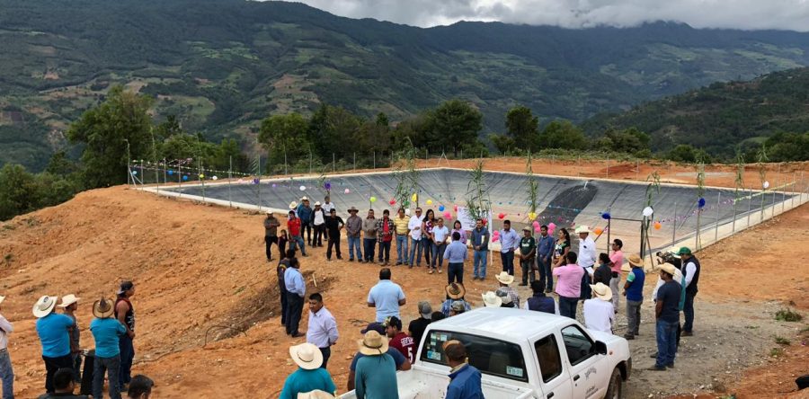 Lleva Sedapa infraestructura hidroagrícola a San Andrés Pápalo