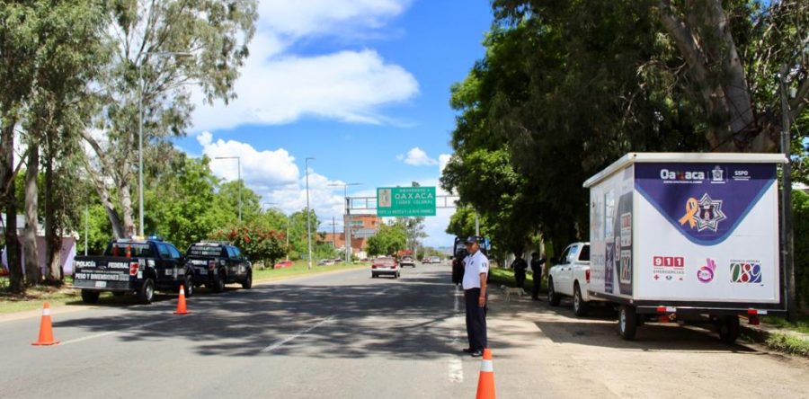 Guelaguetza Segura 2019