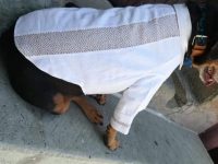 Luce Mazapán guayabera mitleña