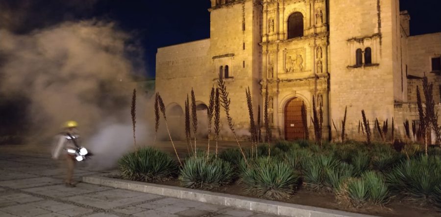 Ayuntamiento capitalino y SSO combaten dengue, zika y chikungunya en 118 colonias