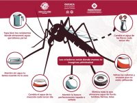 Exhorta Ayuntamiento a redoblar esfuerzos para prevenir el dengue, zika y chikungunya