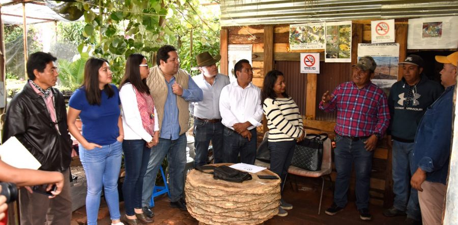 Vivero municipal, clave en preservación de áreas verdes de Oaxaca de Juárez: concejales