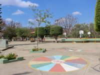 Se realizará primer Rally Deportivo en el parque Colosio