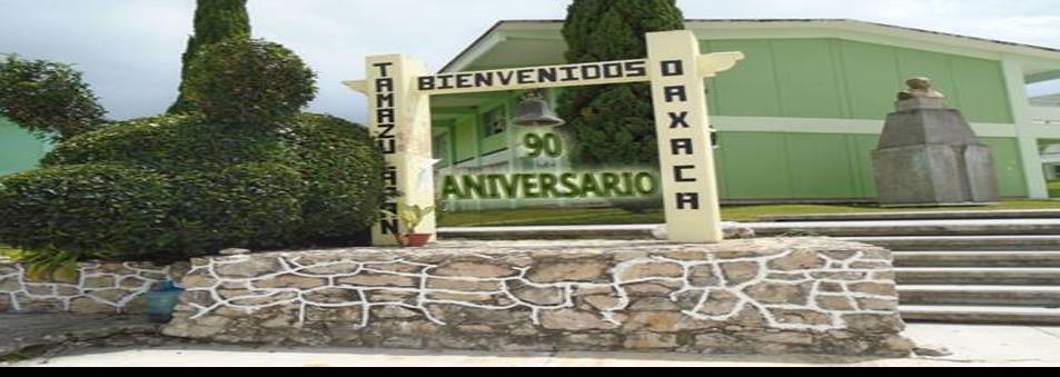 Violaciones y asesinatos en la Normal de Tamazulápam: Alfredo Martínez de Aguilar