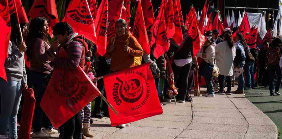 AMLO y el tigre de corrupción de los dirigentes campesinos: Alfredo Martínez de Aguilar