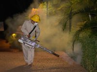 Exhorta SSO prevenir Dengue durante temporada de lluvias